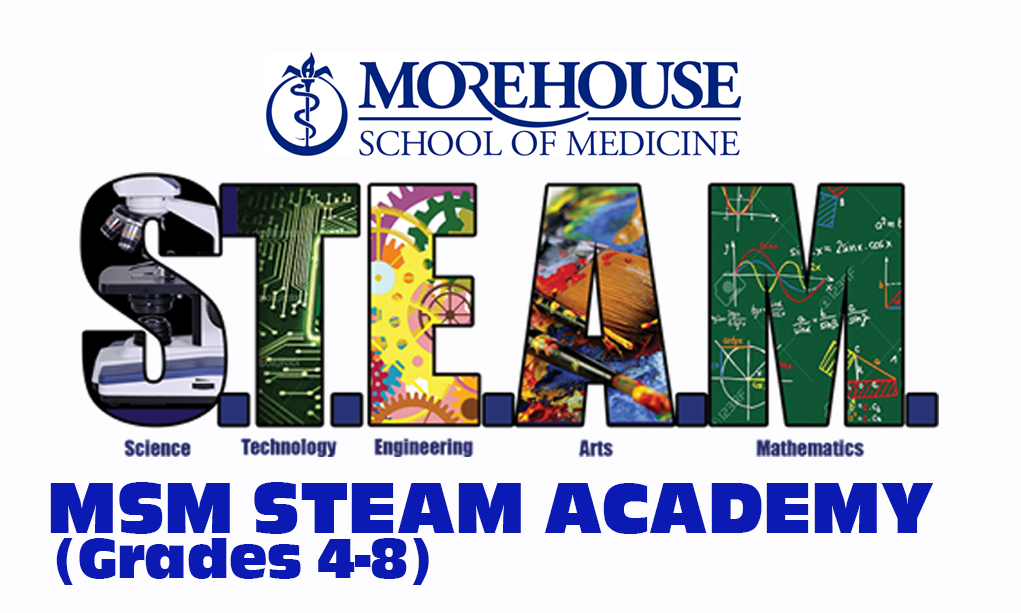 msm steam 4-8